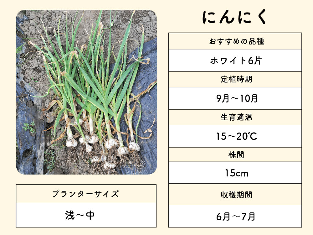 家庭菜園初心者がプランター栽培を始める方法！有機栽培での育て方も紹介｜有機野菜とだいじなはなし｜みっくすなっつ アイチョイスのWEBマガジン